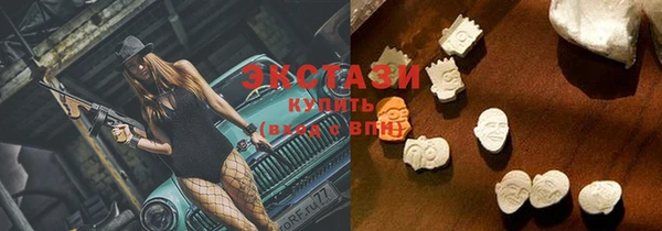 гидра Карпинск