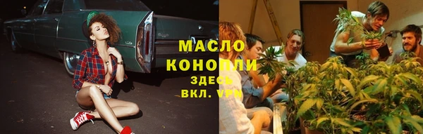 гидра Карпинск