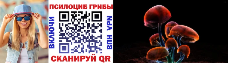 Псилоцибиновые грибы MAGIC MUSHROOMS Гусь-Хрустальный