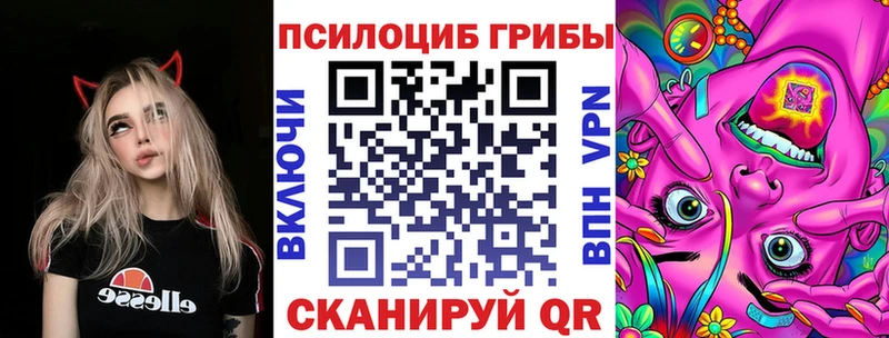 Купить закладки  Гусь-Хрустальный  Псилоцибиновые грибы Cubensis 
